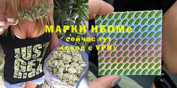 бошки Алексин