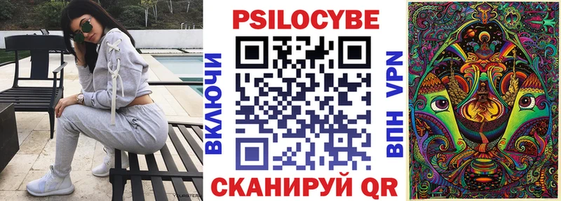 Галлюциногенные грибы Psilocybine cubensis  Кольчугино 